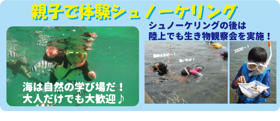 長崎の海で体験シュノーケリング！