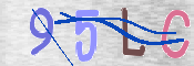 キャプチャ画像